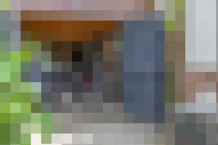 Tuinfluiter 39 Veenendaal thumbnail 39