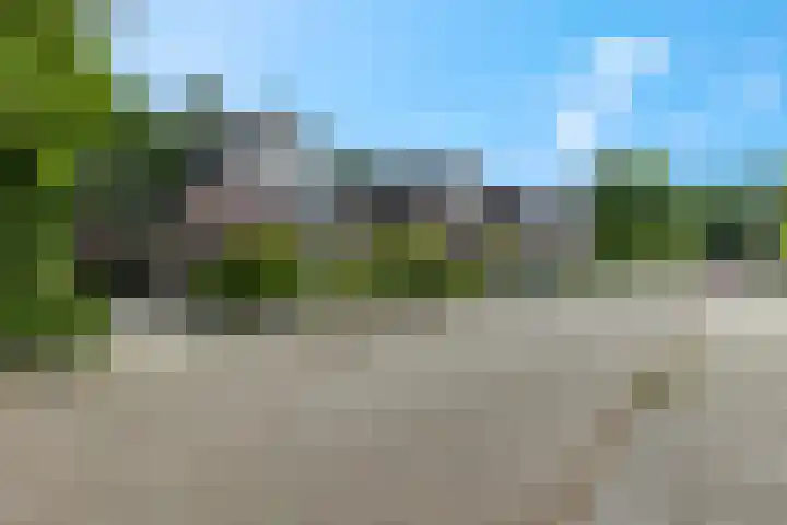 Tuinfluiter 39 Veenendaal thumbnail 40