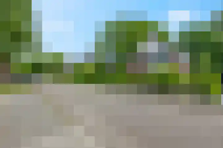 Tuinfluiter 39 Veenendaal thumbnail 41