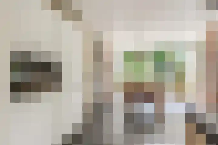 Tuinfluiter 39 Veenendaal thumbnail 5
