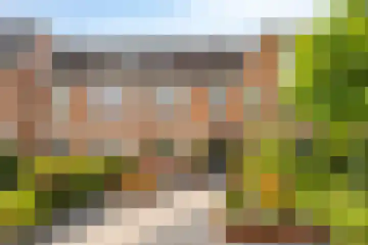 Tuinfluiter 4 Sommelsdijk