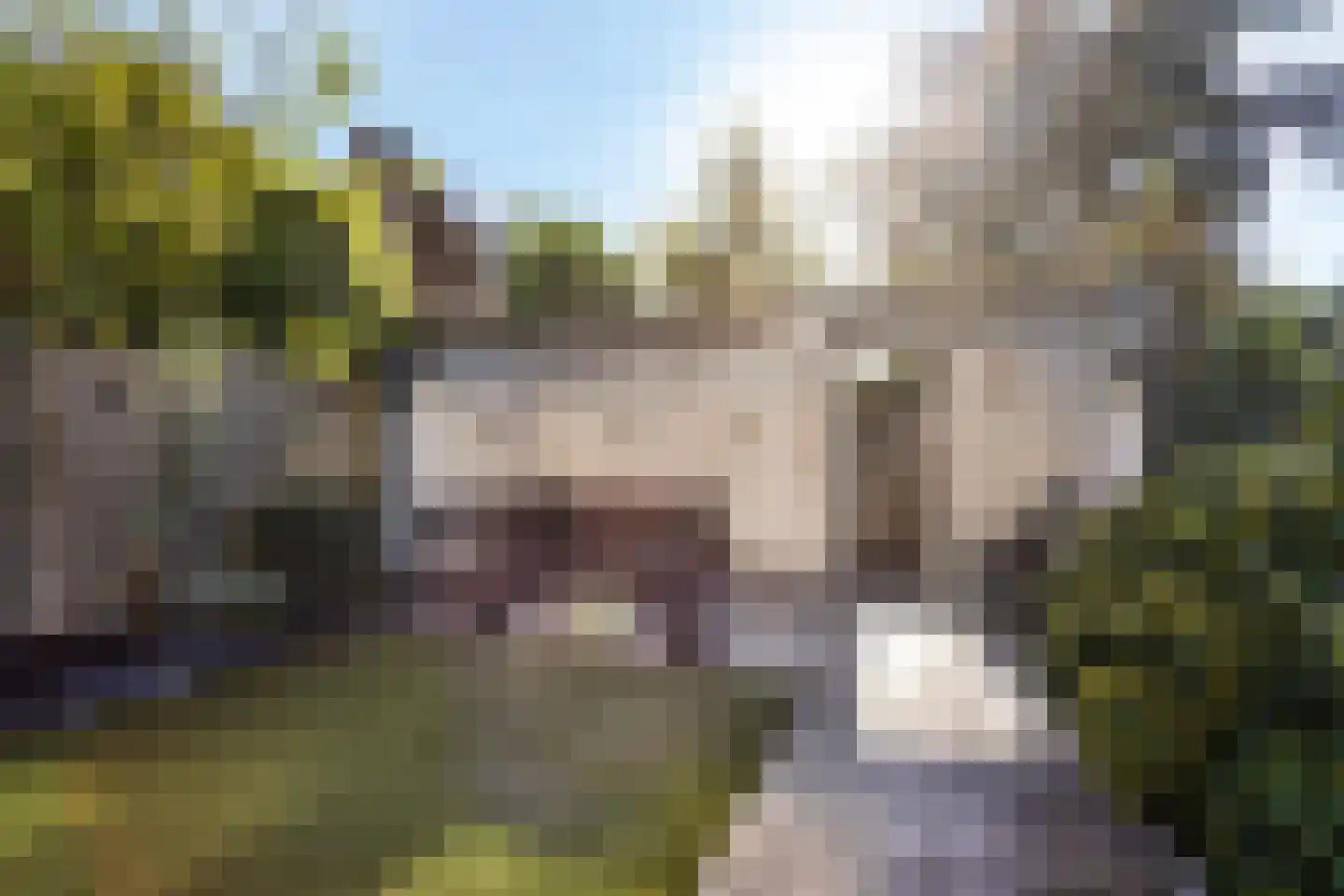 Tuinfluiter 44 Veenendaal thumbnail 27