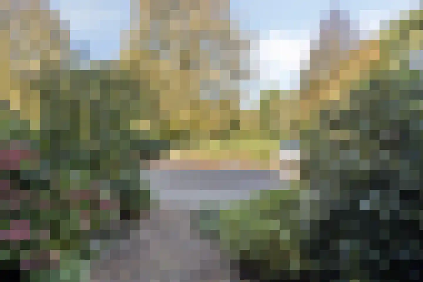 Tuinfluiter 44 Veenendaal thumbnail 32