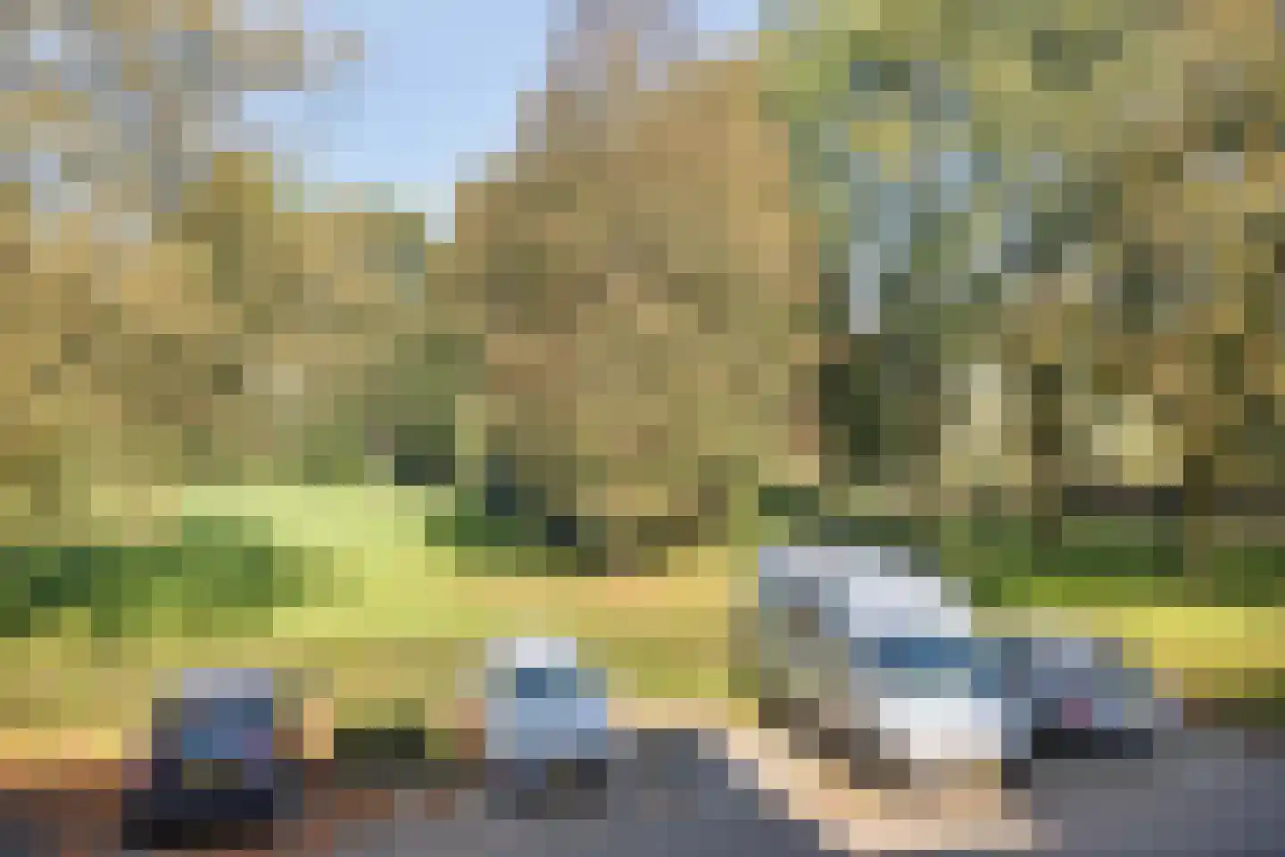 Tuinfluiter 44 Veenendaal thumbnail 33