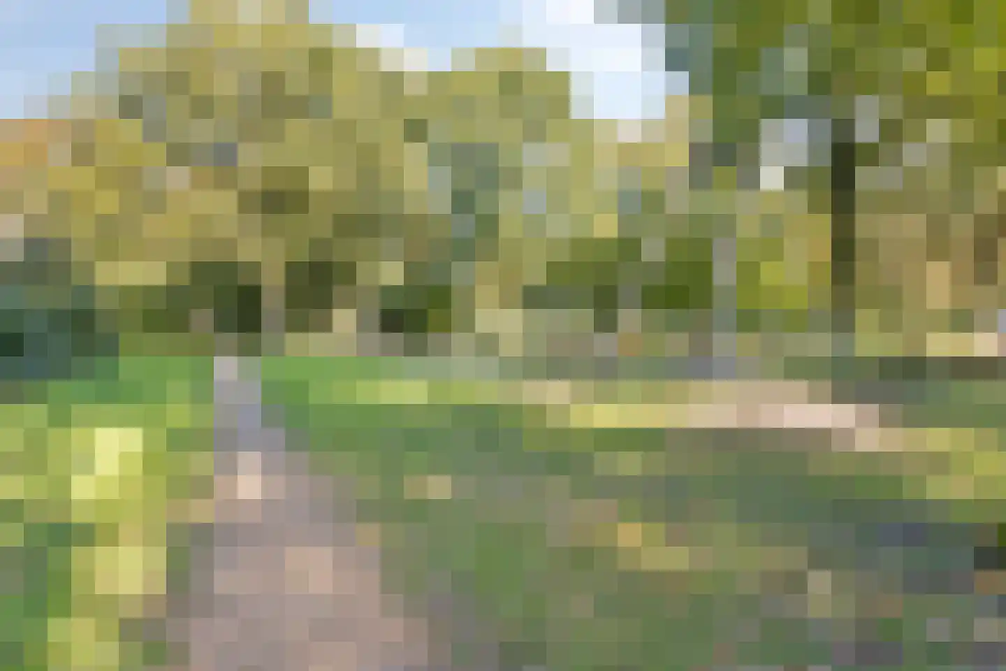 Tuinfluiter 44 Veenendaal thumbnail 35