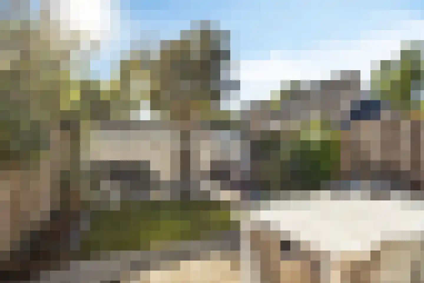 Tuinfluiter 44 Veenendaal thumbnail 4