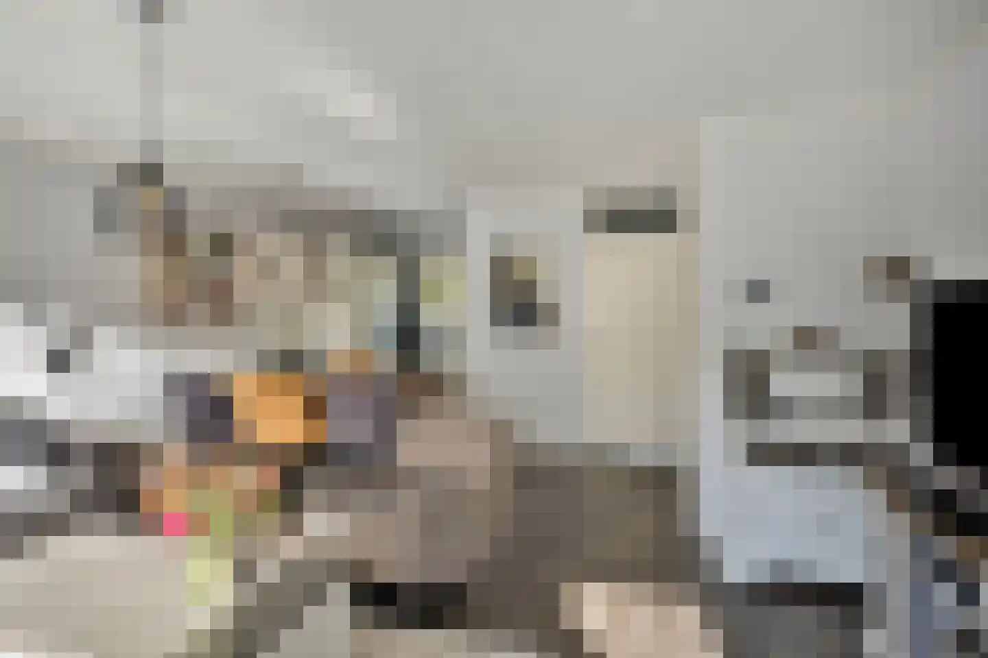 Tuinfluiter 44 Veenendaal thumbnail 9