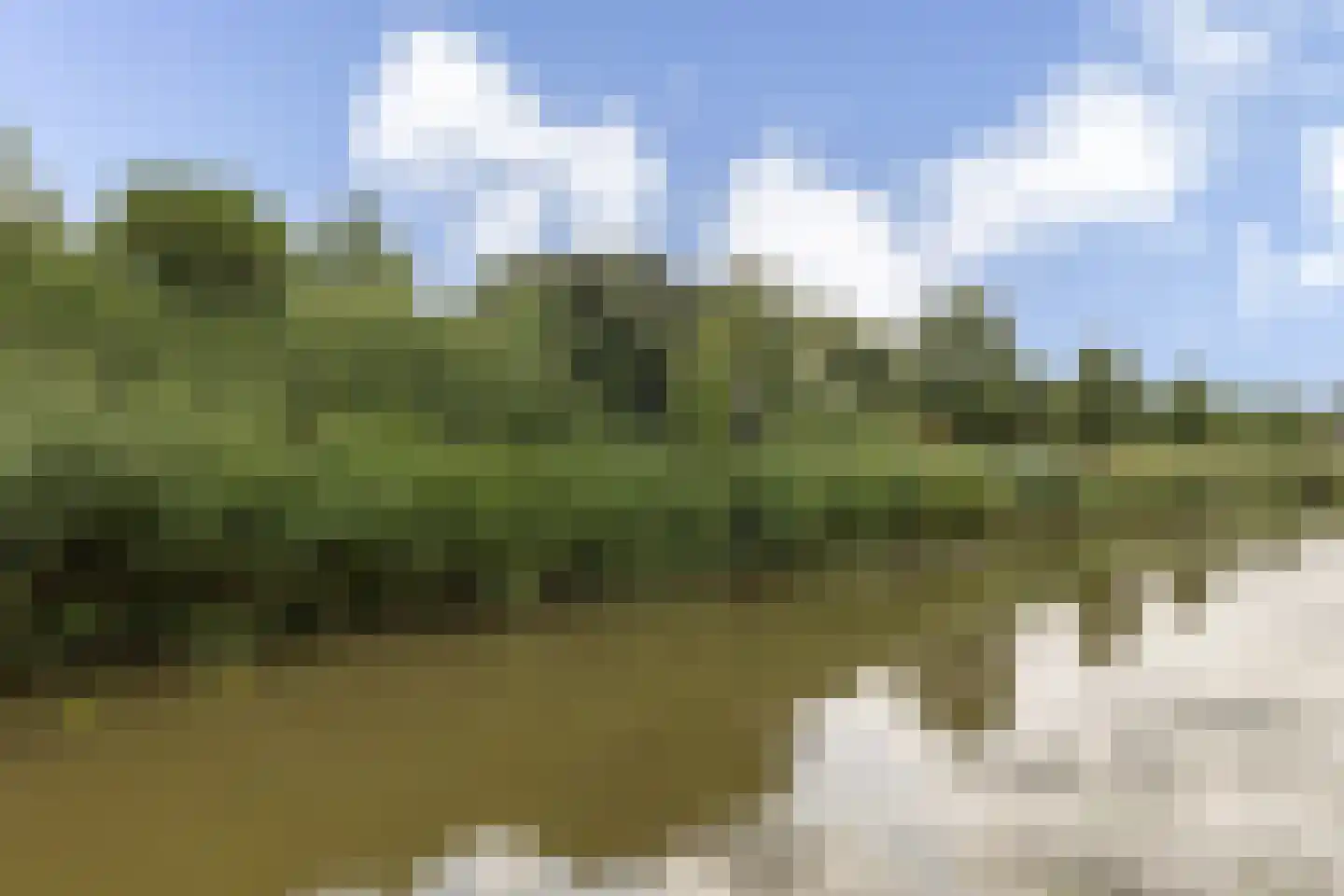 Tuinfluiter 6 Nieuwe Niedorp thumbnail 39
