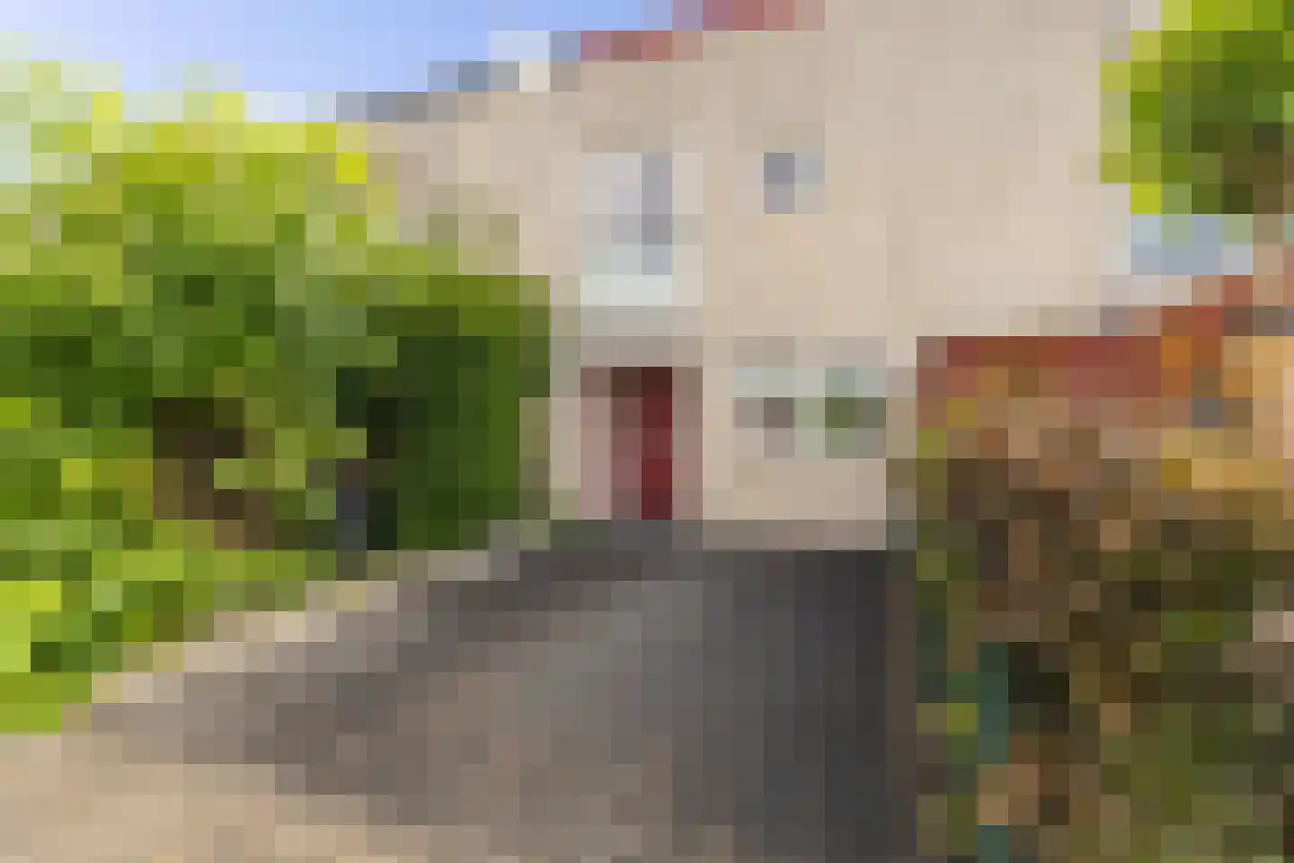Tuinfluiter 6 Nieuwe Niedorp thumbnail 40