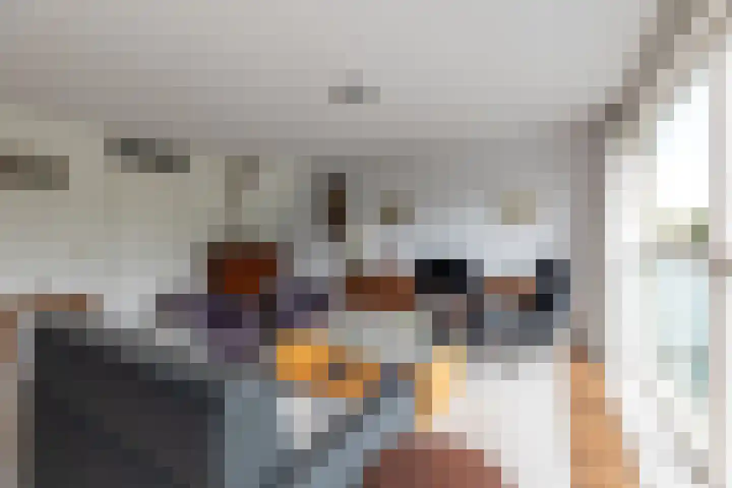 Tuinfluiter 6 Nieuwe Niedorp thumbnail 5