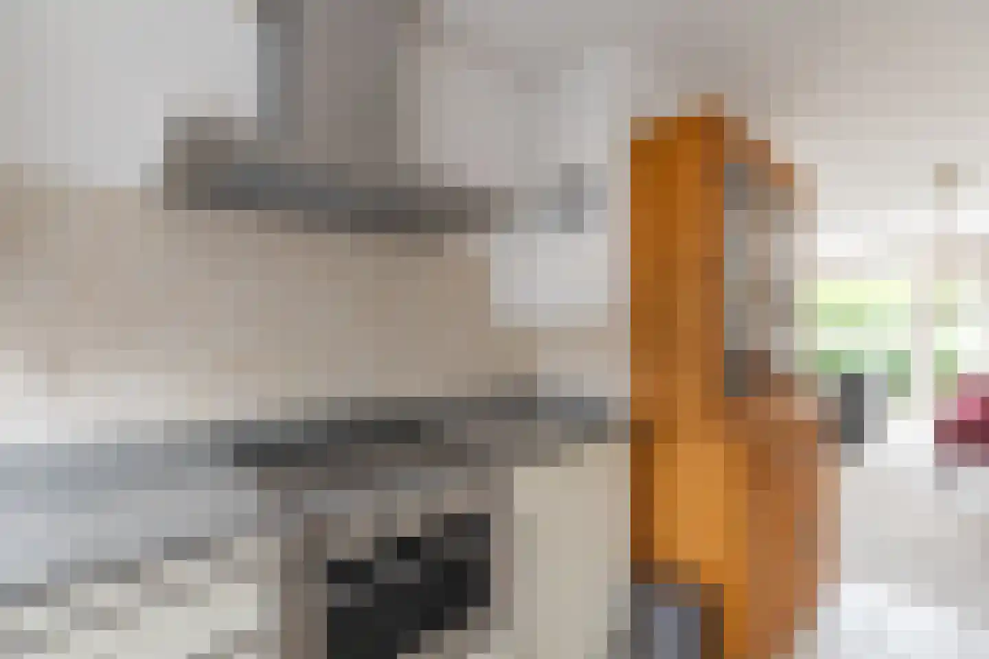 Tuinfluiter 6 Nieuwe Niedorp thumbnail 9