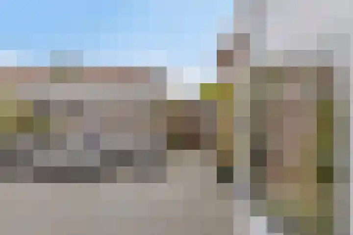 Tuinfluiter 8 Sommelsdijk thumbnail 19