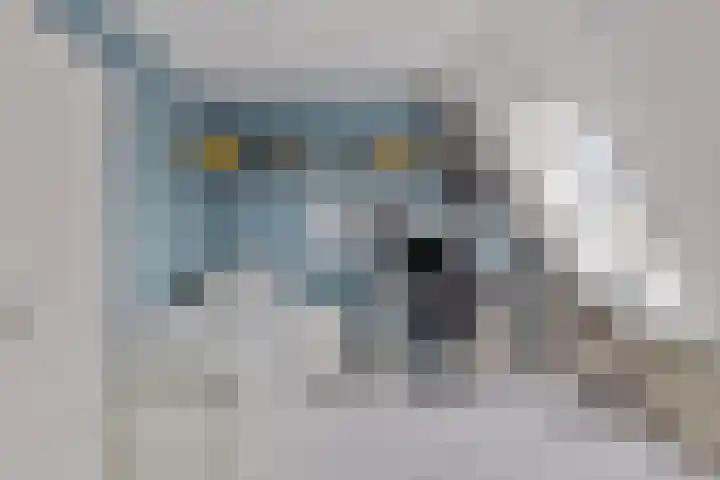 Tuinfluiter 8 Sommelsdijk thumbnail 20