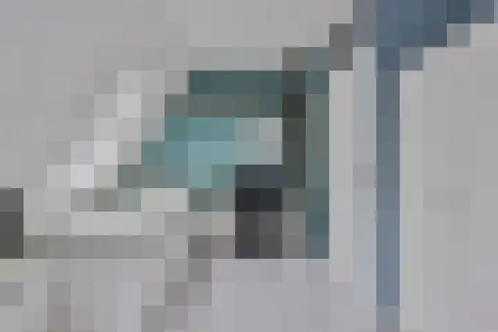 Tuinfluiter 8 Sommelsdijk thumbnail 21