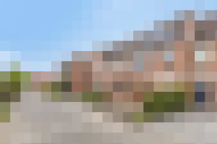 Tuinfluiter 8 Sommelsdijk thumbnail 34