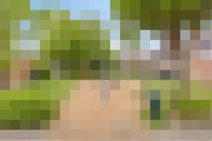 Tuinfluiter 8 Sommelsdijk thumbnail 36