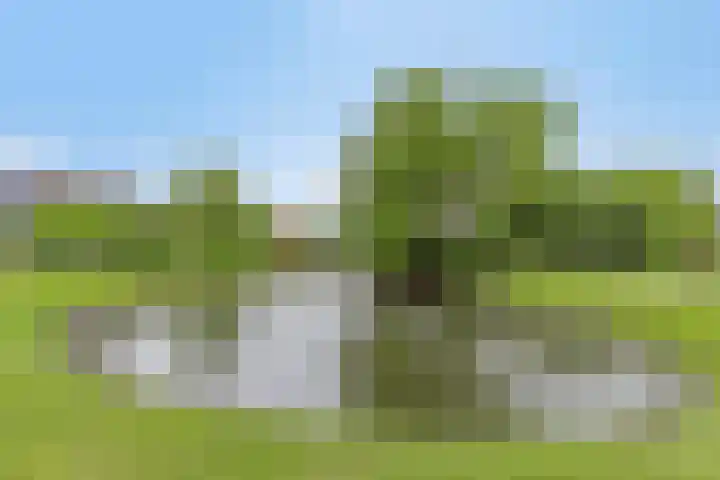 Tuinfluiter 8 Sommelsdijk thumbnail 38