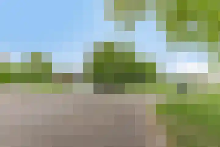 Tuinfluiter 8 Sommelsdijk thumbnail 39