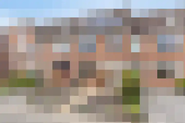 Tuinfluiter 8 Sommelsdijk thumbnail 44