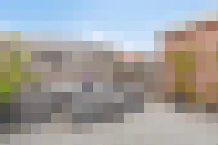 Tuinfluiter 8 Sommelsdijk thumbnail 5