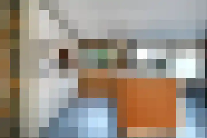 Tuinfluiterlaan 1 Den Haag thumbnail 15