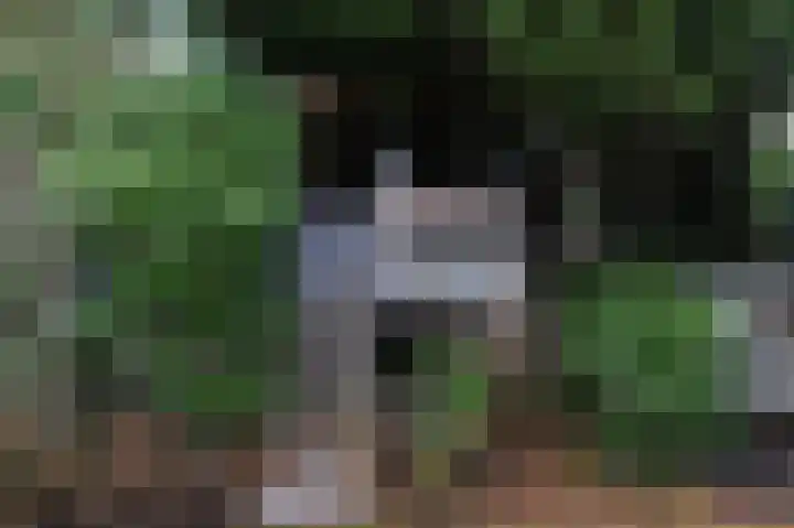Tuinfluiterlaan 1 Den Haag thumbnail 23