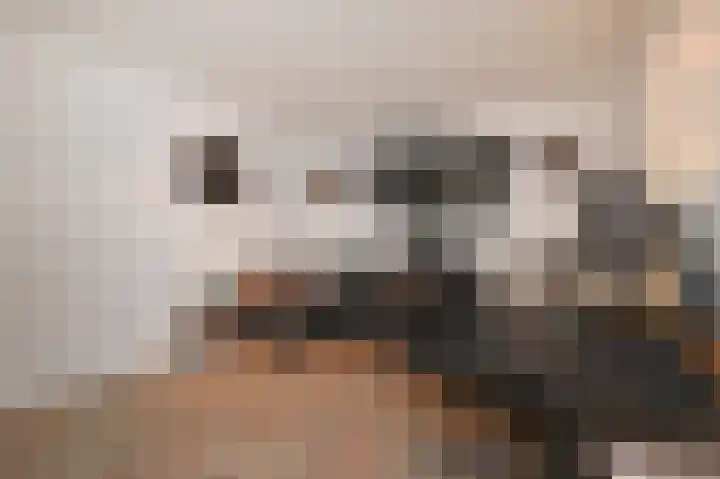 Tuinfluiterlaan 1 Den Haag thumbnail 28