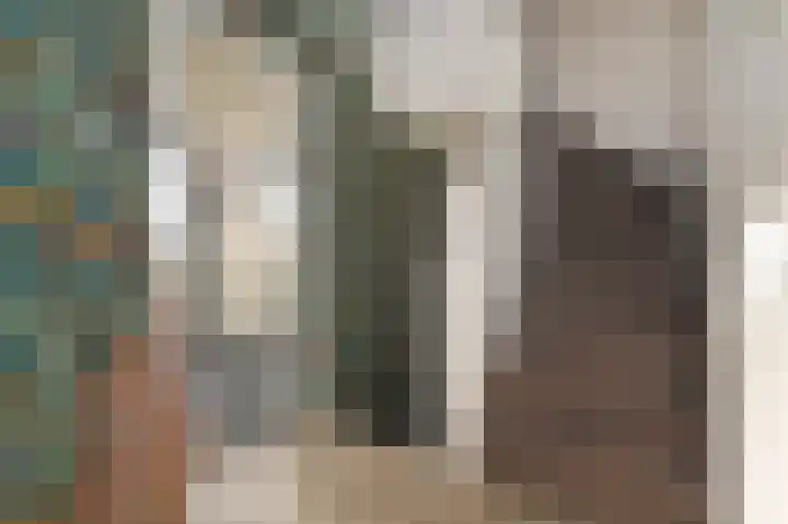 Tuinfluiterlaan 1 Den Haag thumbnail 30
