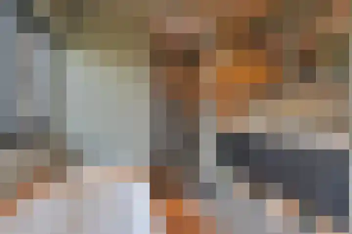 Tuinfluiterlaan 1 Den Haag thumbnail 36