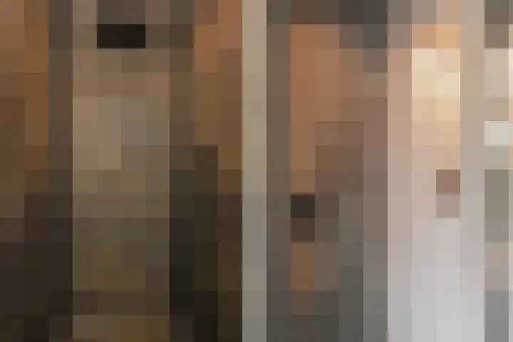 Tuinfluiterlaan 1 Den Haag thumbnail 37