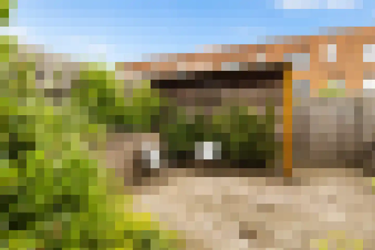 Tuinfluiterlaan 10 Zeewolde thumbnail 24