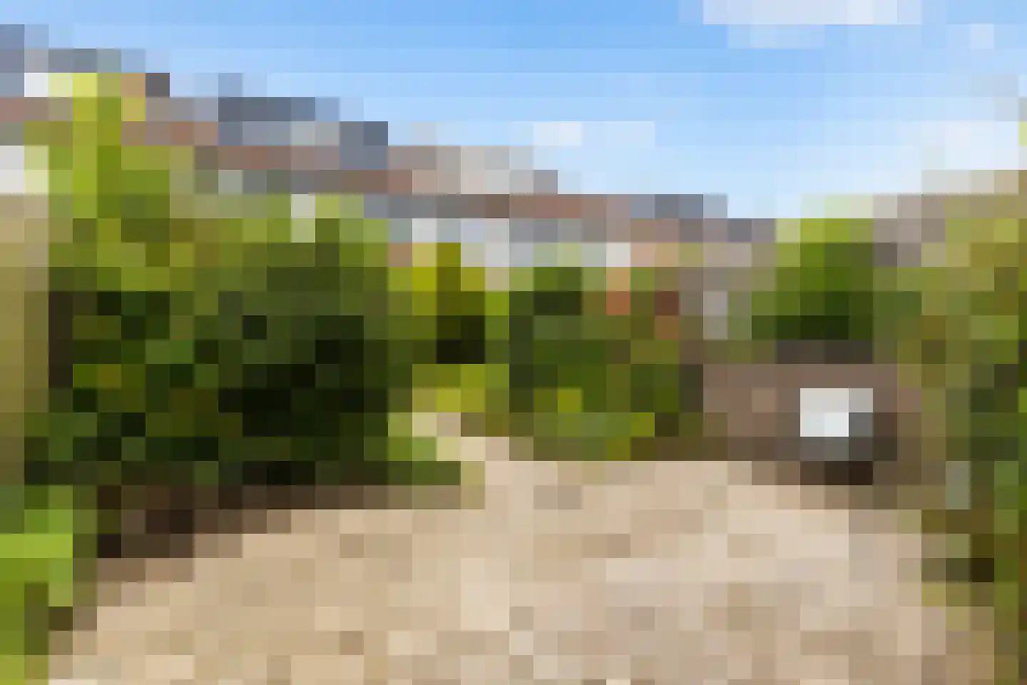 Tuinfluiterlaan 10 Zeewolde thumbnail 25