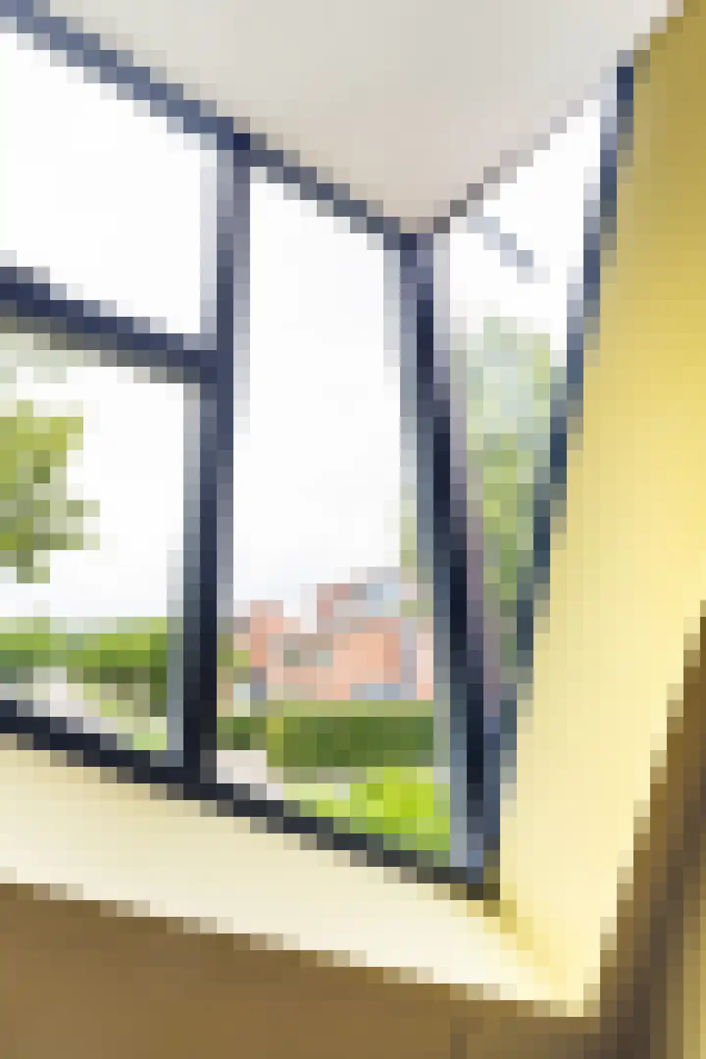 Tuinfluiterlaan 10 Zeewolde thumbnail 33