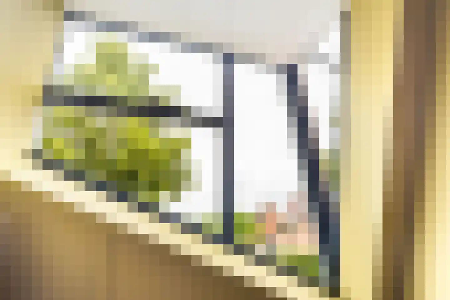 Tuinfluiterlaan 10 Zeewolde thumbnail 34