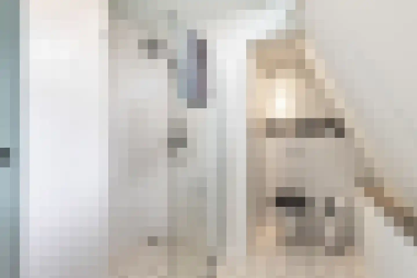 Tuinfluiterlaan 10 Zeewolde thumbnail 37