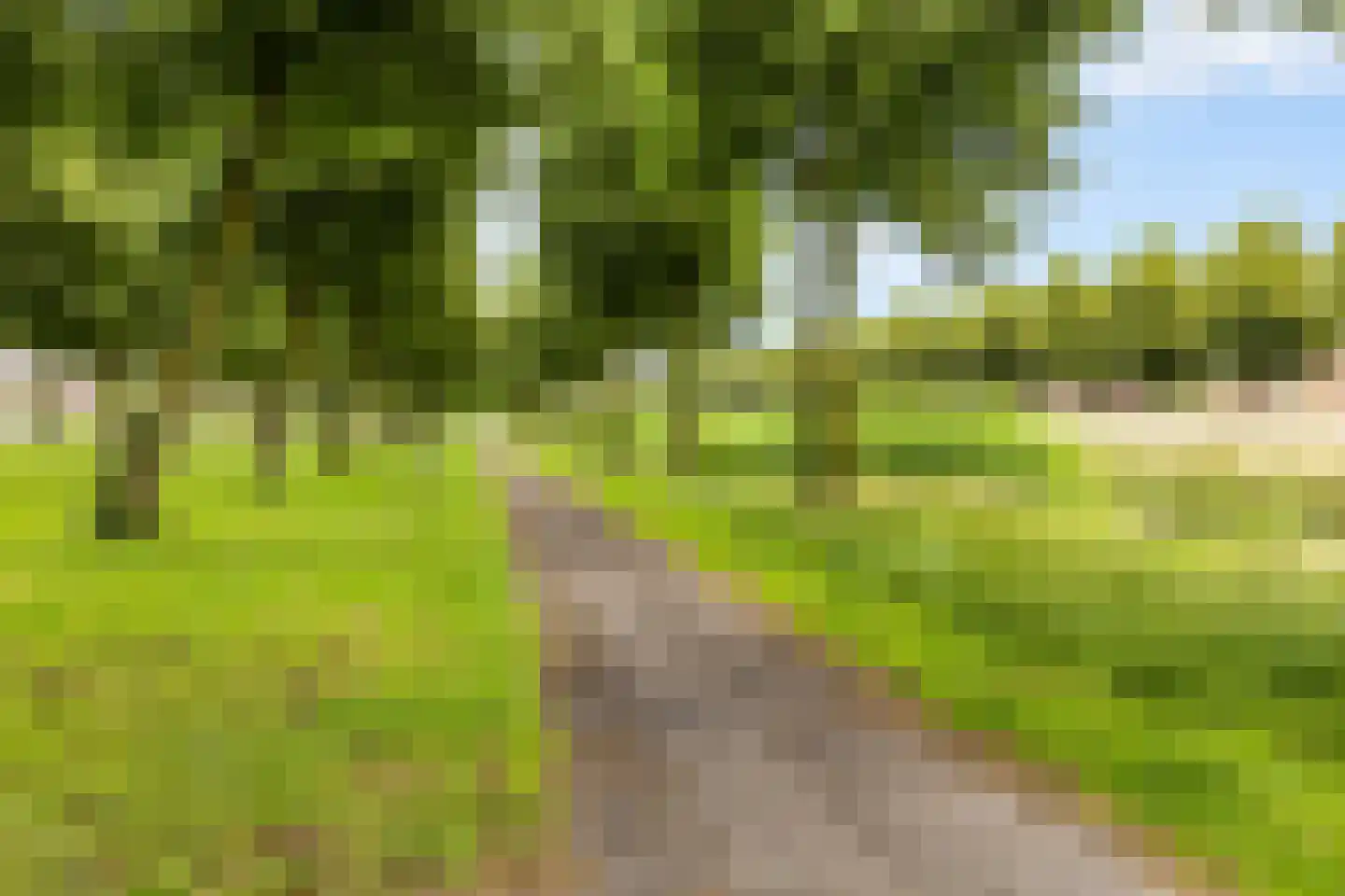 Tuinfluiterlaan 10 Zeewolde thumbnail 42