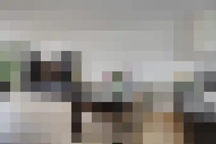 Tuinfluiterlaan 110 Zeewolde thumbnail 10