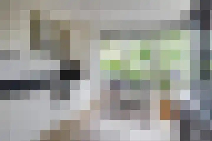 Tuinfluiterlaan 110 Zeewolde thumbnail 12
