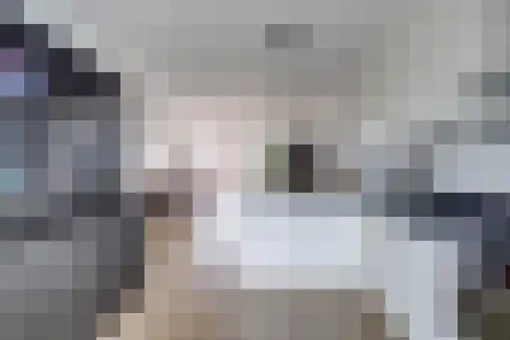 Tuinfluiterlaan 110 Zeewolde thumbnail 13