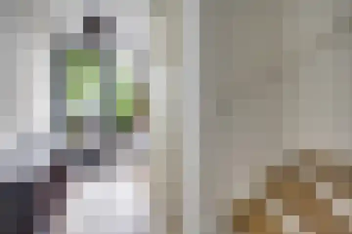Tuinfluiterlaan 110 Zeewolde thumbnail 16