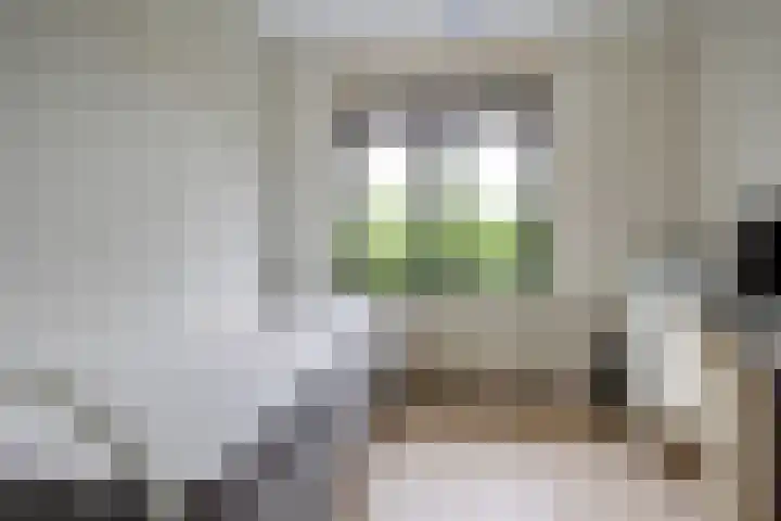Tuinfluiterlaan 110 Zeewolde thumbnail 22