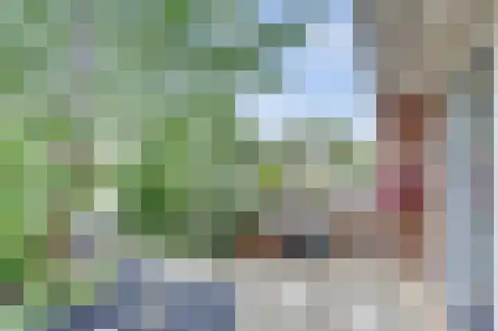 Tuinfluiterlaan 110 Zeewolde thumbnail 42