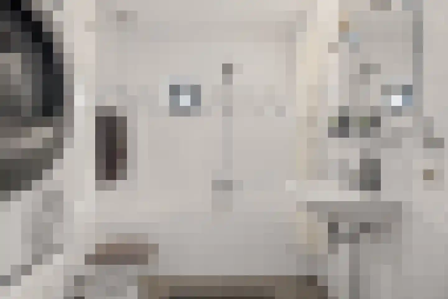 Tuinfluiterlaan 131 Zeewolde thumbnail 41