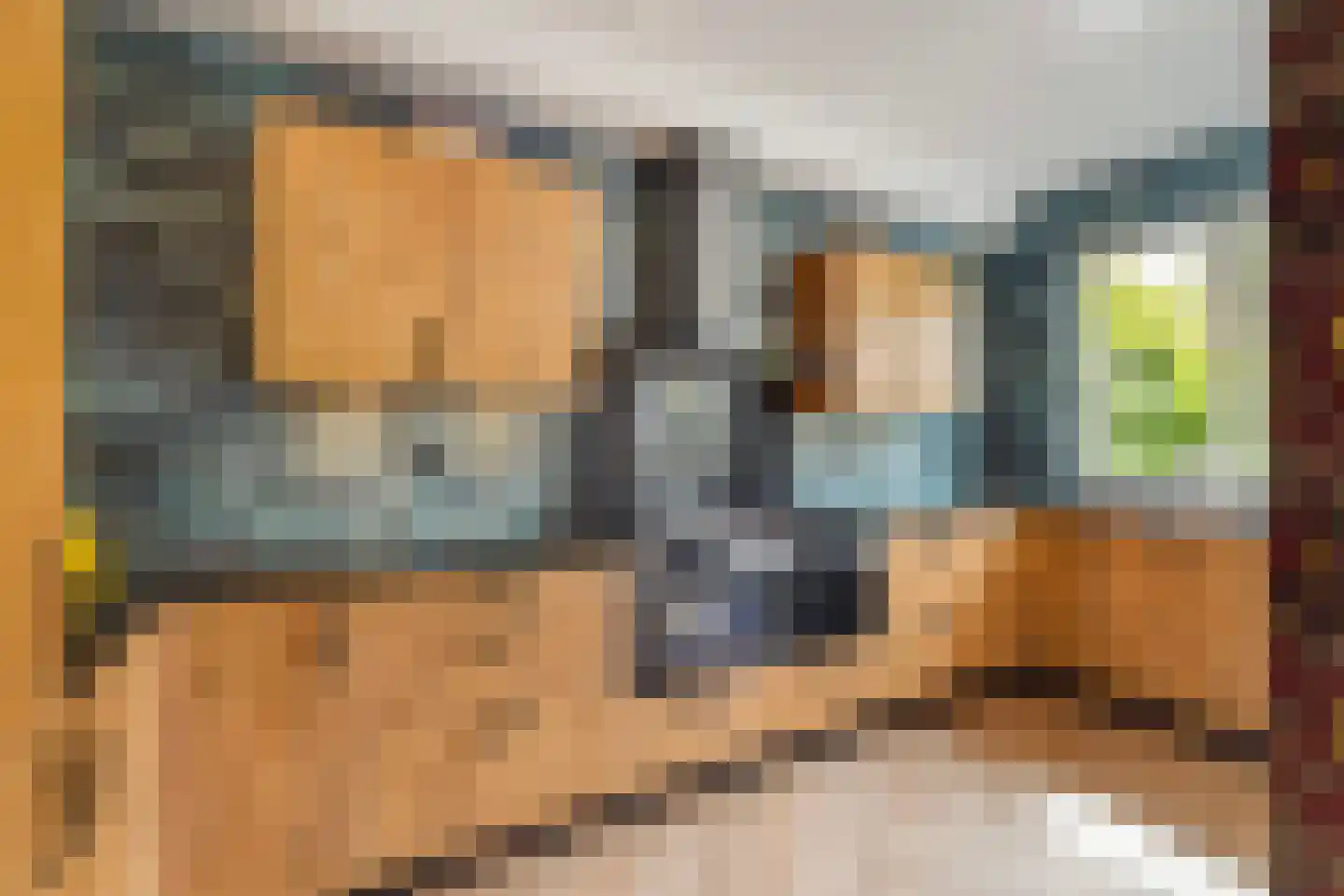 Tuinfluiterlaan 16 Den Haag thumbnail 11