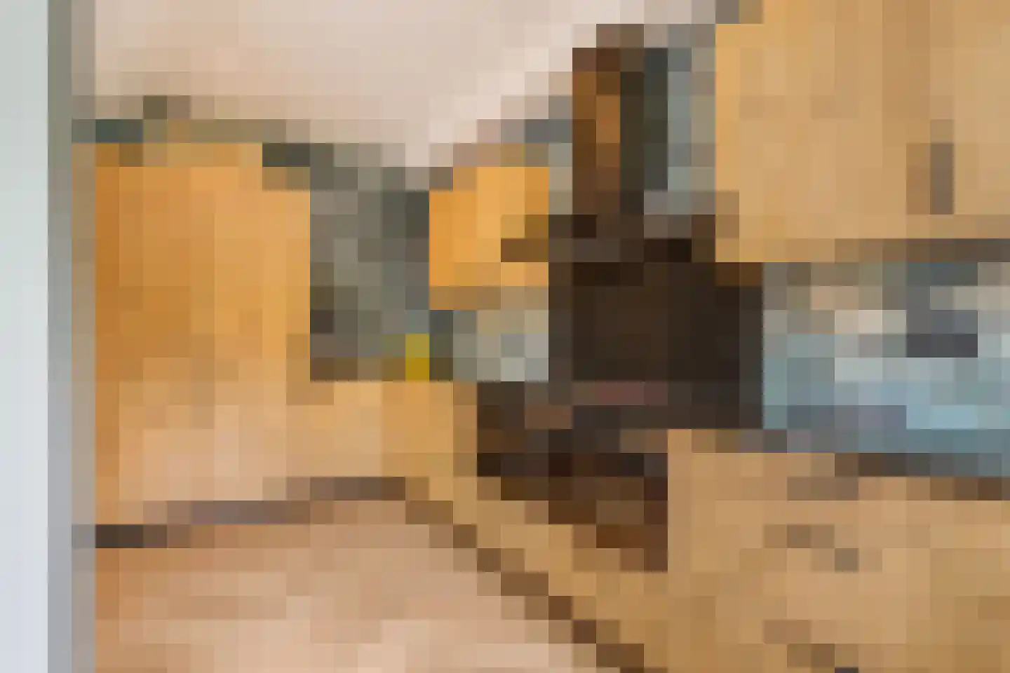 Tuinfluiterlaan 16 Den Haag thumbnail 12