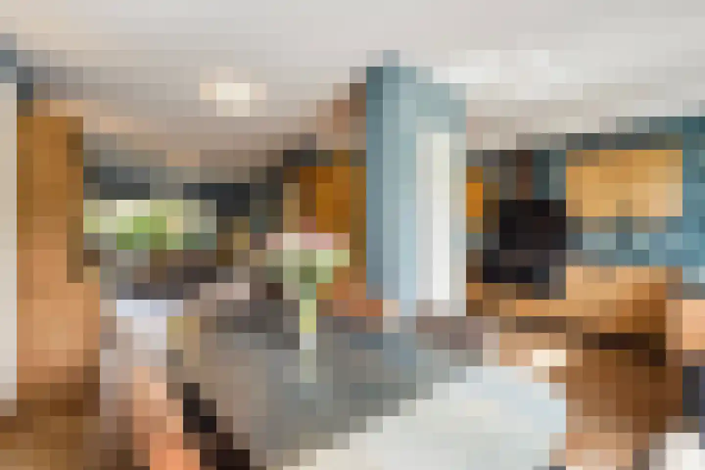 Tuinfluiterlaan 16 Den Haag thumbnail 15
