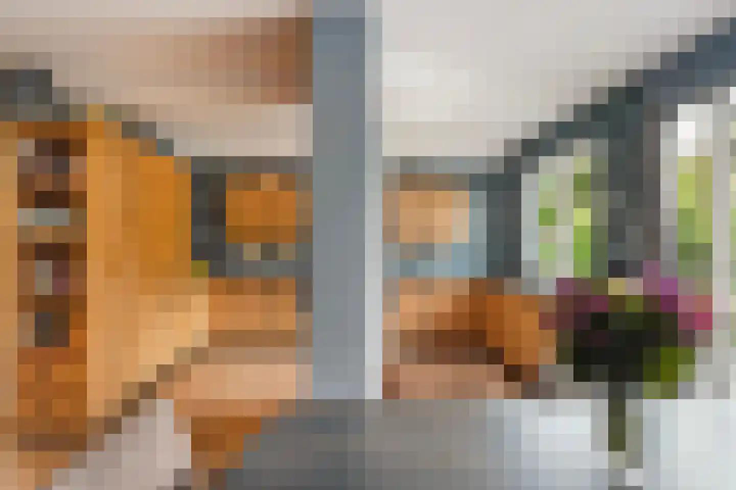 Tuinfluiterlaan 16 Den Haag thumbnail 16