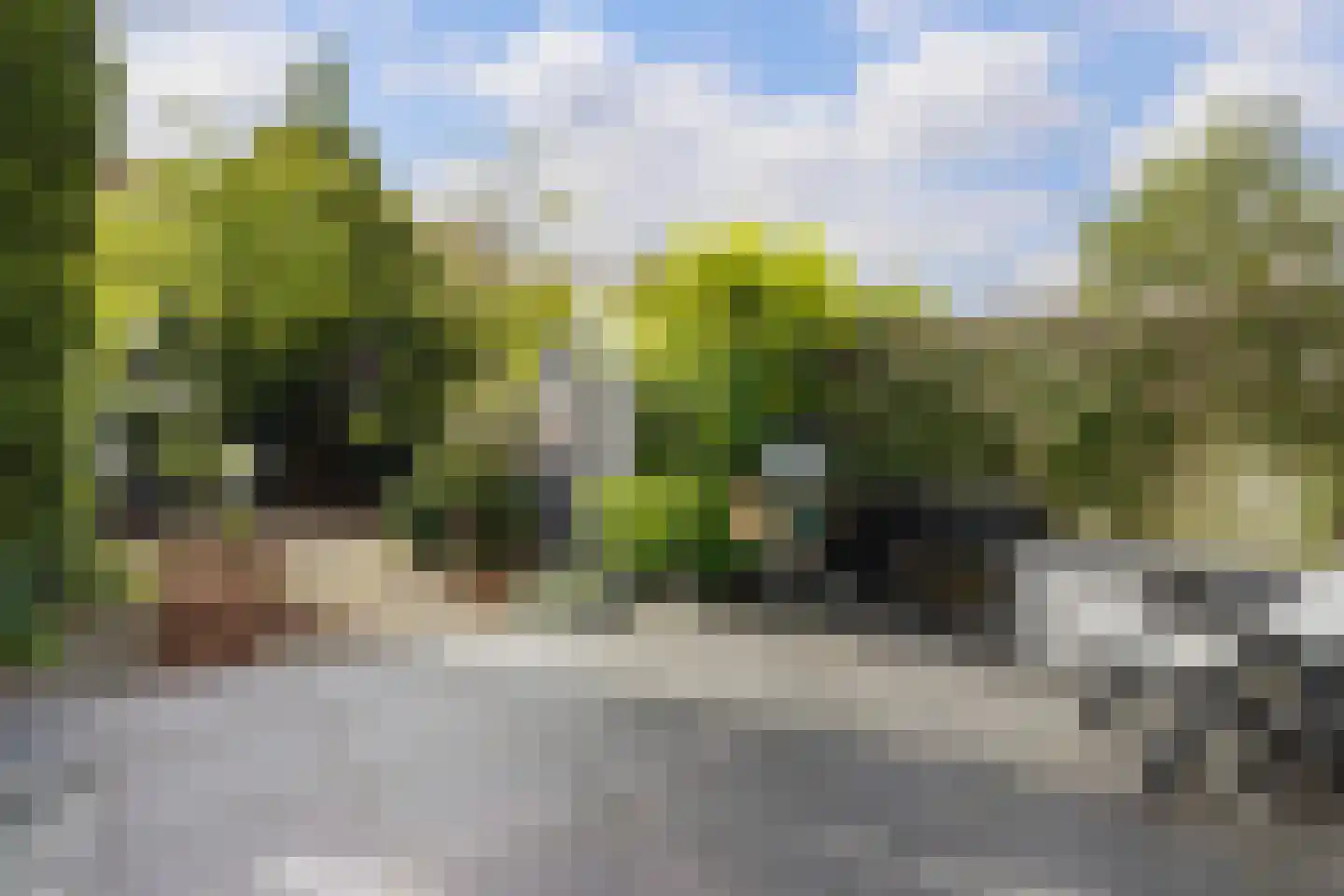 Tuinfluiterlaan 16 Den Haag thumbnail 17