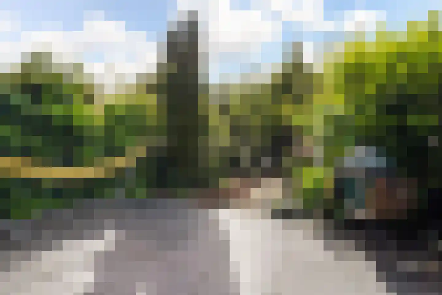 Tuinfluiterlaan 16 Den Haag thumbnail 18