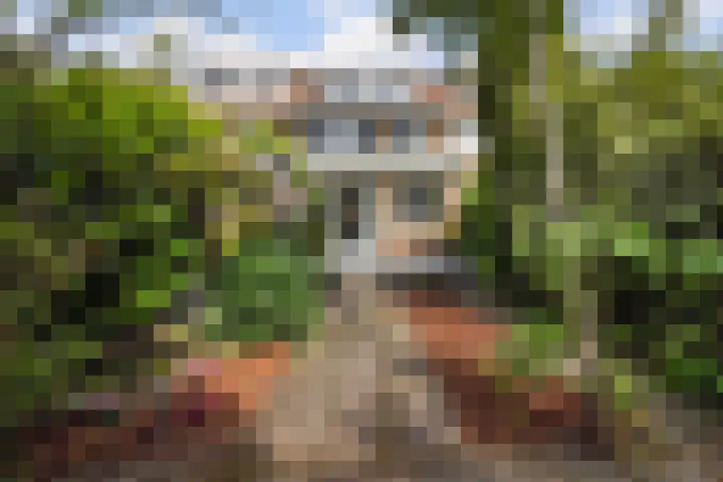 Tuinfluiterlaan 16 Den Haag thumbnail 20